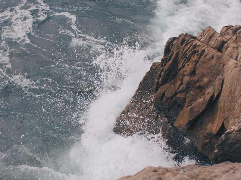 EdTech Platform Transforms Ocean Learning Experience